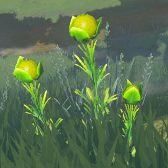 王國(guó)之淚蔬菜煎蛋卷配方介紹