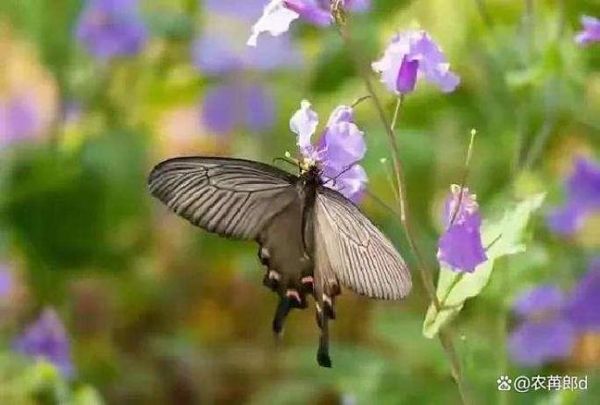 长期跑步运动会导致肋骨骨折吗