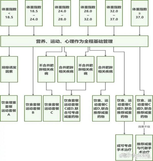 图１　消瘦、超重和肥胖症诊疗路径