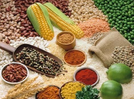 如何科學減肥粗糧有哪些，粗糧減肥方法