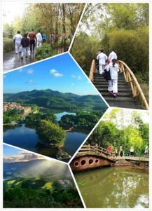 如何健康辟谷方法有哪些，怎么健康辟谷减肥