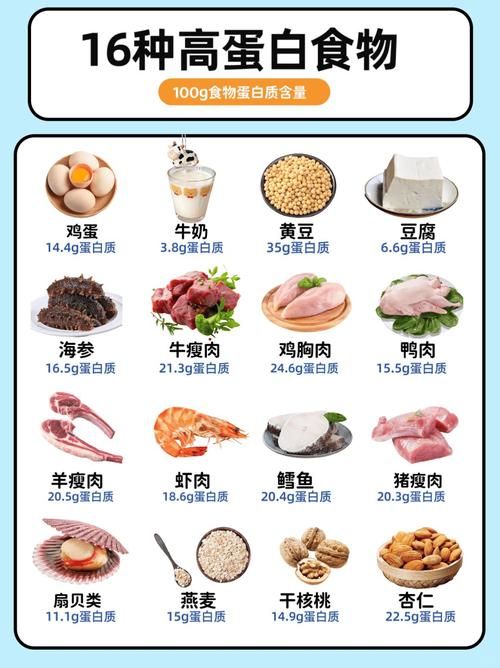 哪些食物蛋白质含量高又营养？