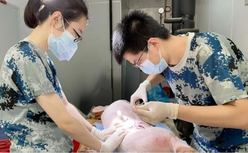 微信圖片_2026-01-14_172615_450