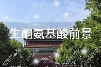 2026年生酮氨基酸發(fā)展前景 趨勢預(yù)測