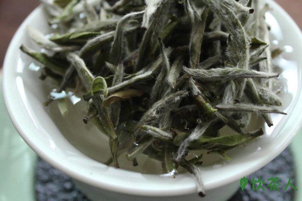 福鼎白茶泡法的正确方法，福鼎白茶冲泡步骤要求(看完你就学会了)