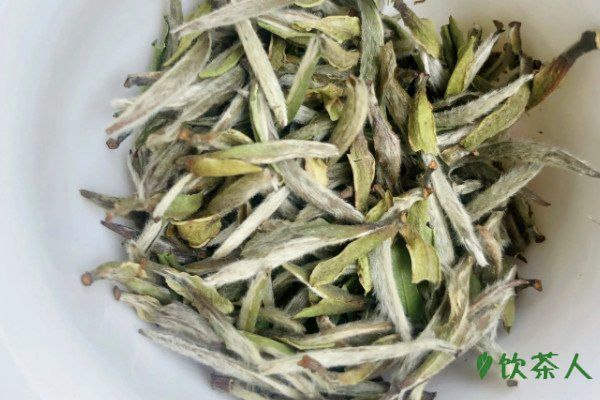 福鼎白茶泡法的正确方法，福鼎白茶冲泡步骤要求(看完你就学会了)