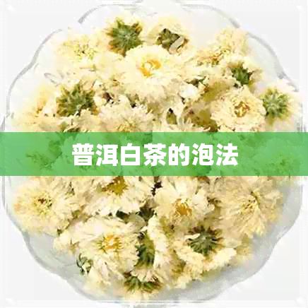普洱白茶的泡法
