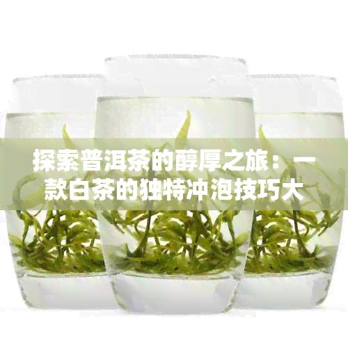 探索普洱茶的醇厚之旅：一款白茶的独特冲泡技巧大全