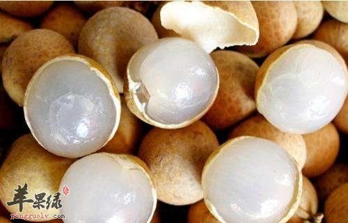 幼儿贫血吃什么补血最快