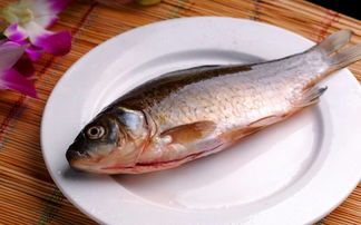 魚如何選購有哪些，怎樣買魚性價比最高