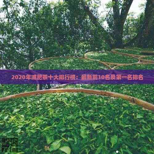 2020年減肥茶十大排行榜：最新前10名及之一名排名