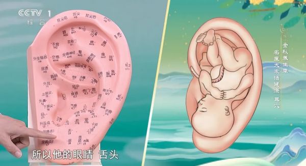 原来耳朵自带“健康开关”！每天按一按，让你睡得香、血压稳