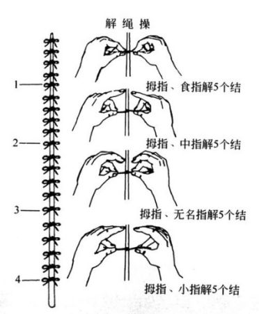 常做手指操刺激經(jīng)絡(luò)穴位防健忘