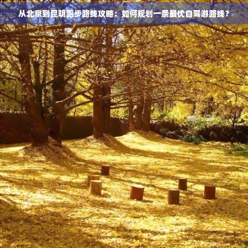 从北京到昆明跑步路线攻略：如何规划一条更优自驾游路线？