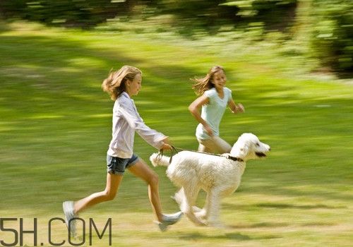 夜跑減肥的正確方法有哪些？冬天夜跑應(yīng)該怎么跑才能減肥？