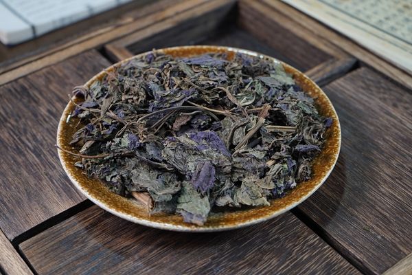 紫蘇葉能清肺嗎