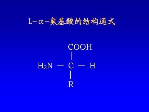 乙酸（食醋），左旋（L型）氨基酸和右旋（D型）氨基酸
