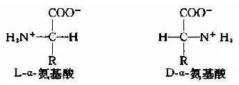 乙酸（食醋），左旋（L型）氨基酸和右旋（D型）氨基酸