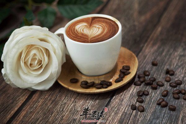 咖啡豆这么煮出香浓的咖啡 煮咖啡的步骤