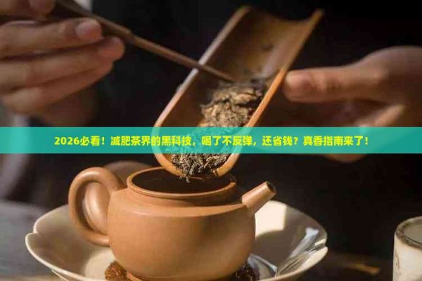 什么茶喝了減肥不反彈