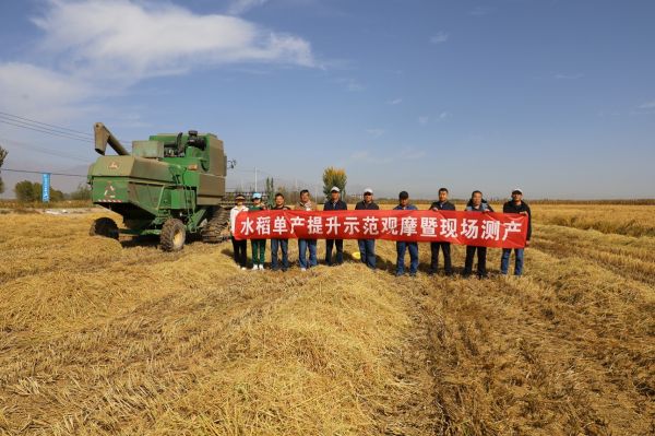 5387332d4393efbc878739b08a78dc62