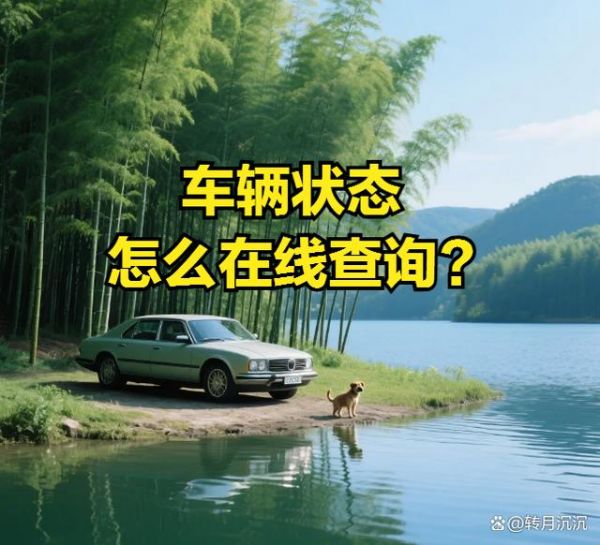 非車主本人怎么查詢車輛狀態(tài)？這三招教你學(xué)會車輛狀態(tài)怎么查詢！-有駕