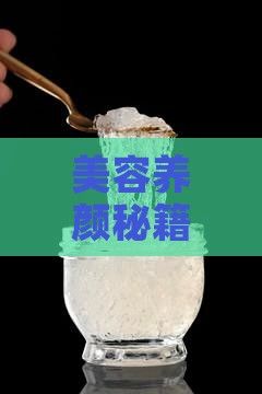 美容養(yǎng)顏秘籍：木瓜燕窩的制作方法