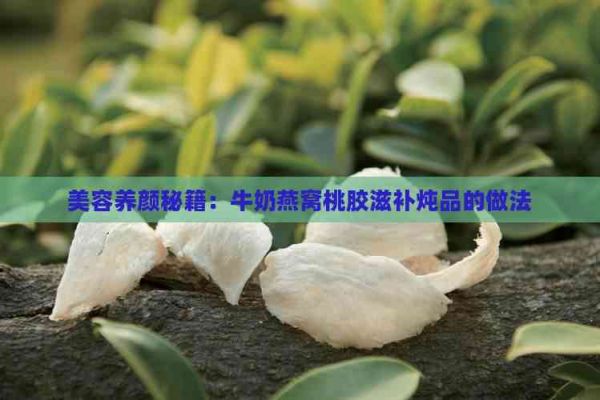 美容養(yǎng)顏秘籍：牛奶燕窩桃膠滋補(bǔ)燉品的做法