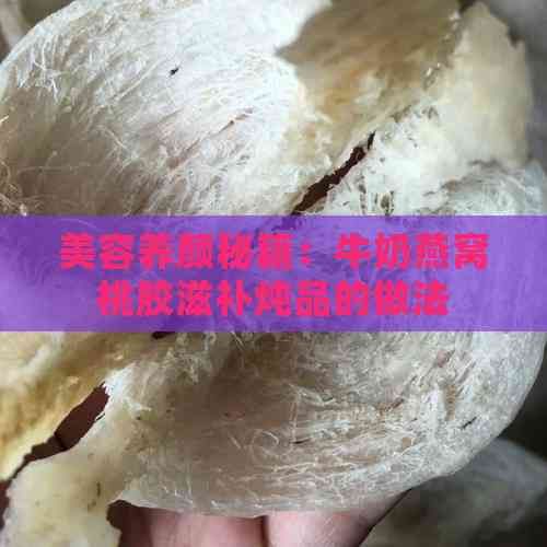 美容養(yǎng)顏秘籍：牛奶燕窩桃膠滋補(bǔ)燉品的做法