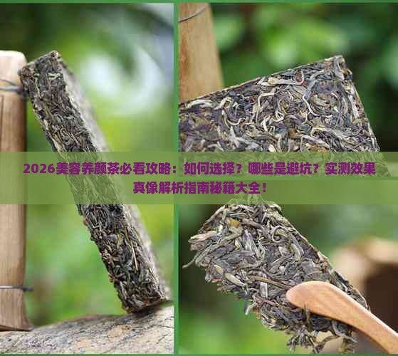 美容养颜茶有哪些