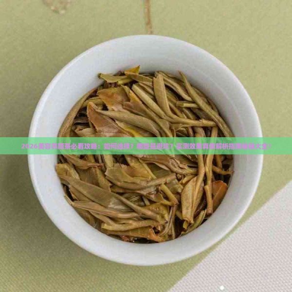 美容养颜茶有哪些