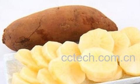 雪蓮果的副作用-0