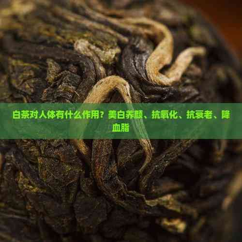 白茶對人體有什么作用？美白養(yǎng)顏、抗氧化、抗衰老、降血脂