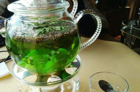 薄荷茶能天天喝嗎，薄荷茶一次放多少片？
