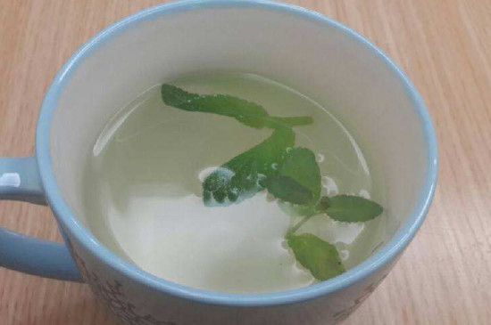 薄荷茶能天天喝嗎，薄荷茶一次放多少片？