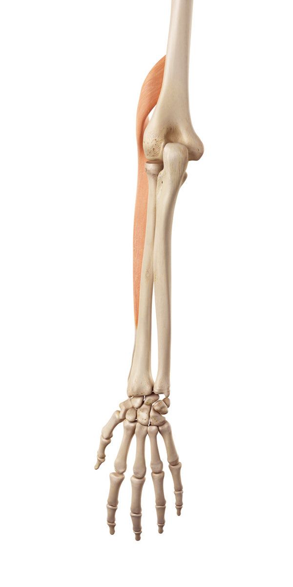 成人夾腿綜合癥的肚子疼