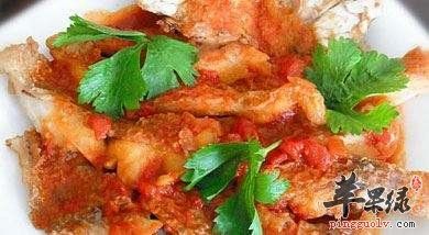 鲷鱼的吃饭有哪些呢