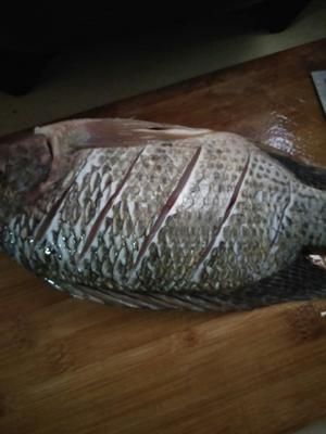 西红柿红烧鱼的做法 步骤2