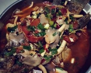 西红柿红烧鱼的做法 步骤7