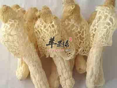 吃竹荪能养生 可以帮助减肥瘦身