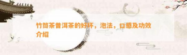 竹筒茶普洱茶的好壞，泡法，口感及功效介紹