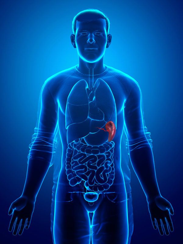 脾旺的表现和症状