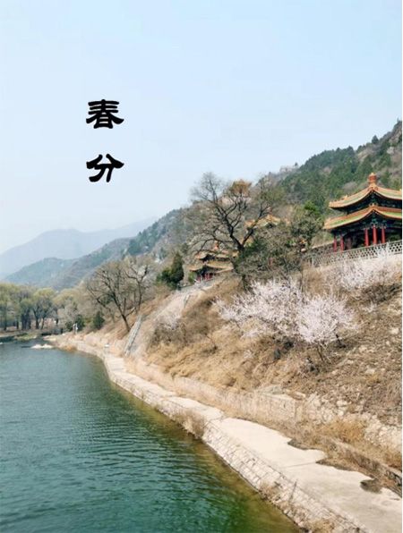 吃春菜、立蛋……關(guān)于春分的知識(shí)你知道多少？