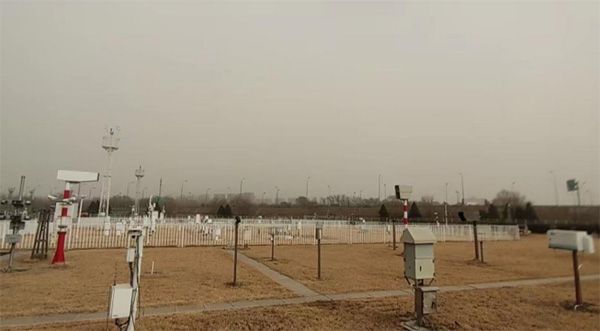 吃春菜、立蛋……關(guān)于春分的知識(shí)你知道多少？