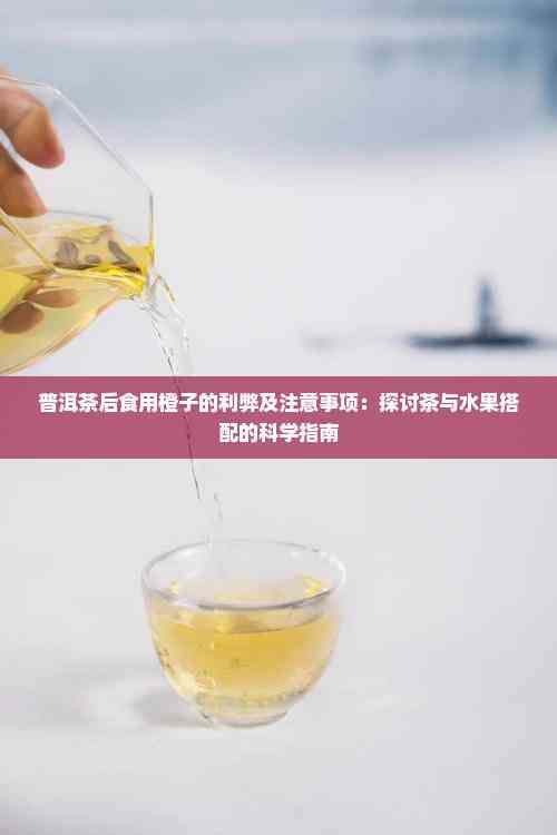普洱茶后食用橙子的利弊及注意事项：探讨茶与水果搭配的科学指南