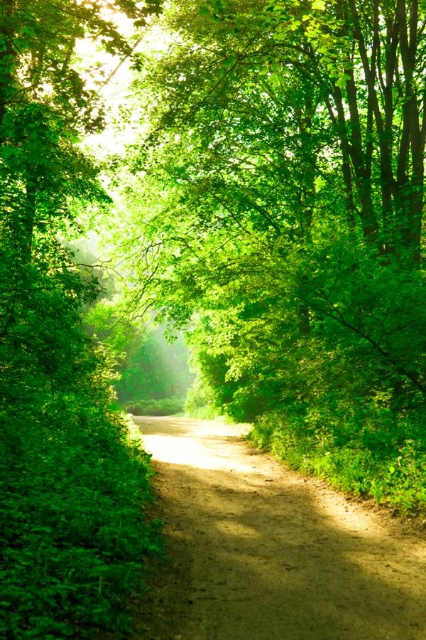 立春吃什么食物