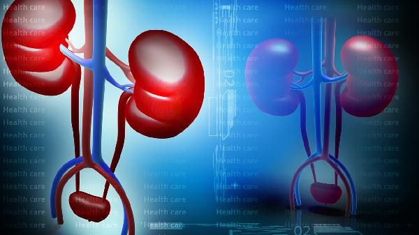 高尿酸患者只能喝白开水？肾病专家提醒：3种中药汤剂或能助缓解