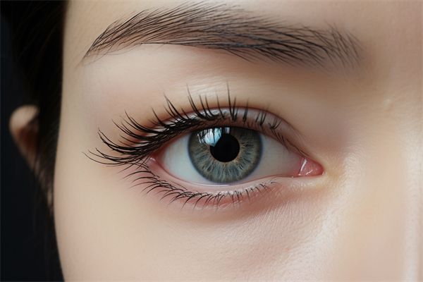 西安瘦身塑形价格指南：2026年本地正规医院吸脂、溶脂等项目费用明细与医生推荐