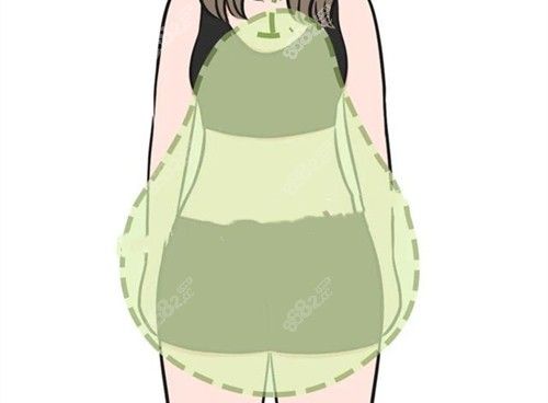 梨型身材卡通示意图