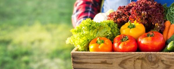 如何吃荔枝不上火 荔枝能治疗哪些疾病 荔枝的功效是什么